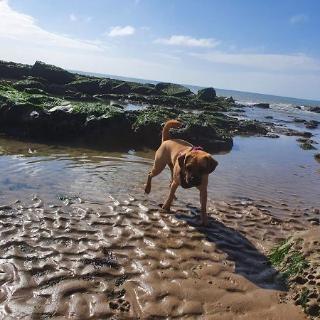 Beautiful Apartment 2 Mins To The Beach St Leonards-on-Sea Exteriér fotografie