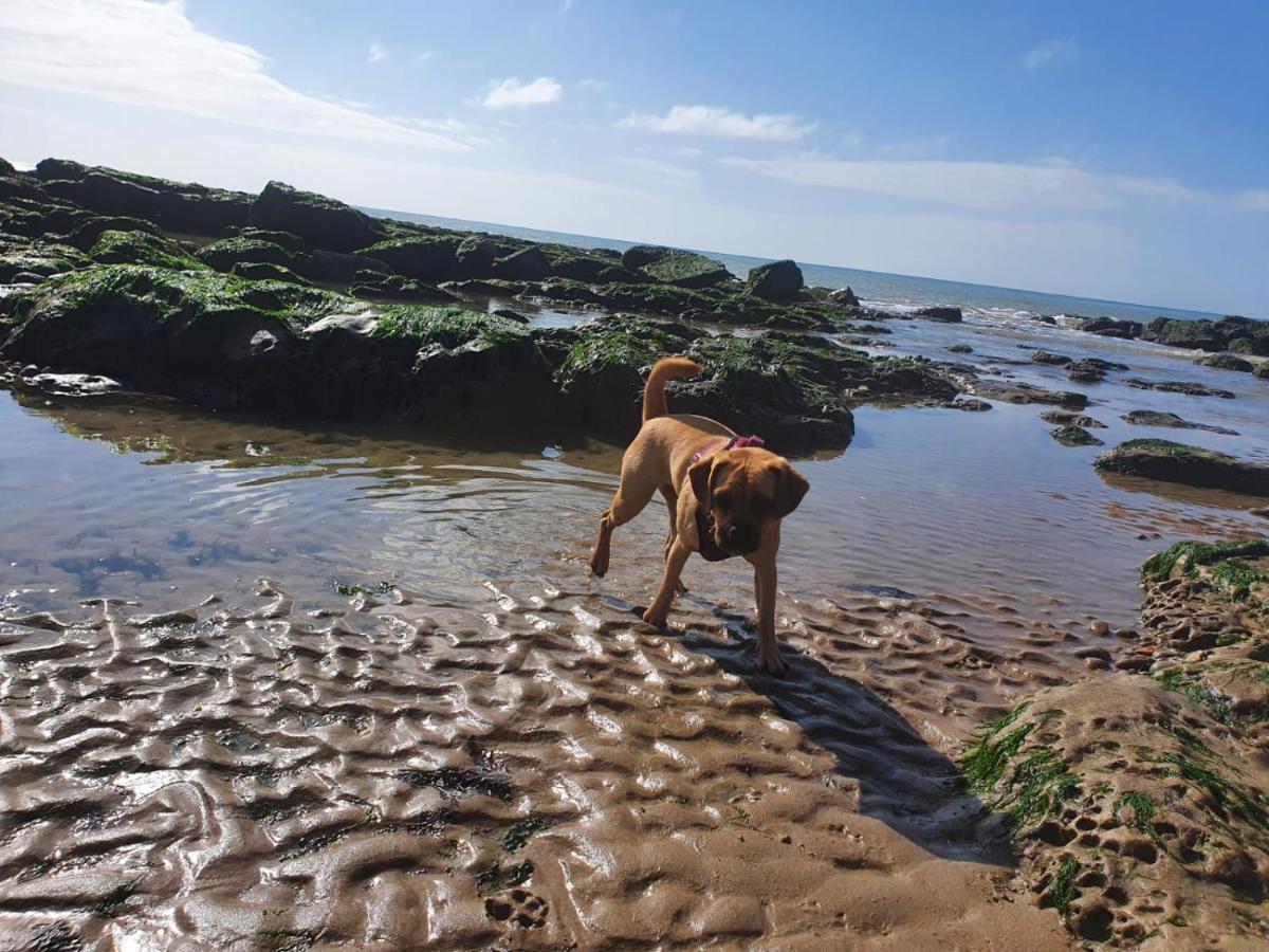 Beautiful Apartment 2 Mins To The Beach St Leonards-on-Sea Exteriér fotografie